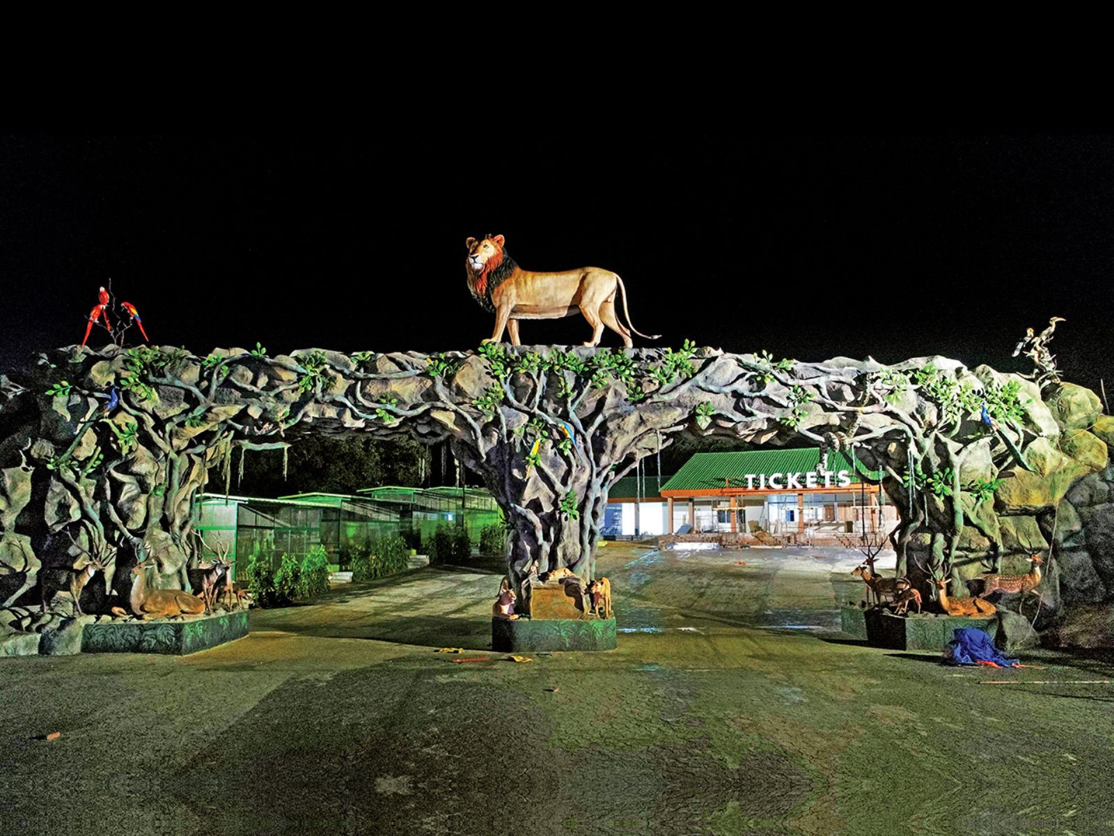 Jungle Safari Near Statue of Unity